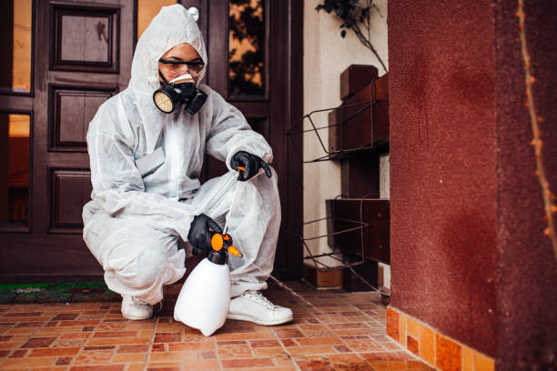 Reliable Wasp Removal contractor in Derby, KS by Show Me Pest Control